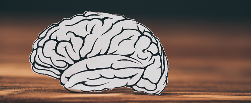 Psicologia de Vendas: cérebro de papel em cima de superfície de madeira