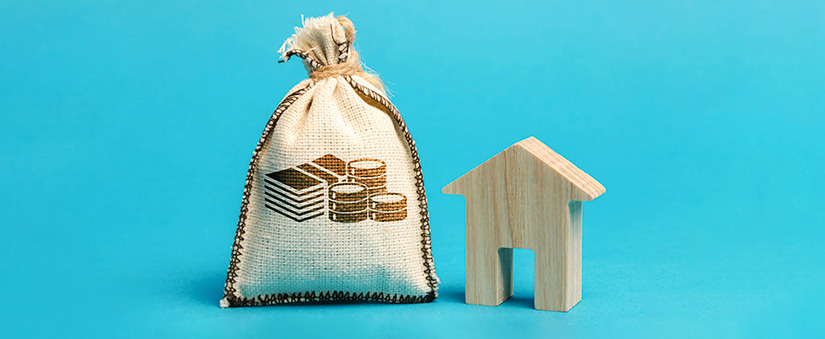 Casa Verde e Amarela: casinha de madeira aparece ao lado de uma sacolinha de dinheiro