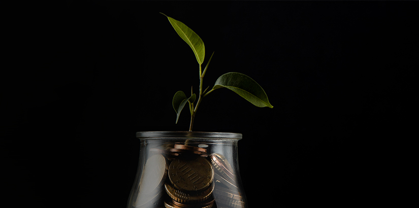 investir no mercado imobiliário: fundo preto e imagem de um vaso transparente com uma planta e moedas no lugar da terra.