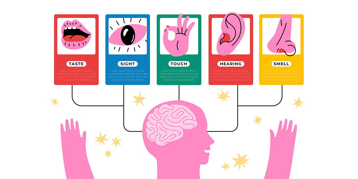 marketing sensorial: ilustração do contorno da cabeça de uma pessoa, acima alguns cards coloridos, cada um com a imagem de um órgão do corpor representando um sentido
