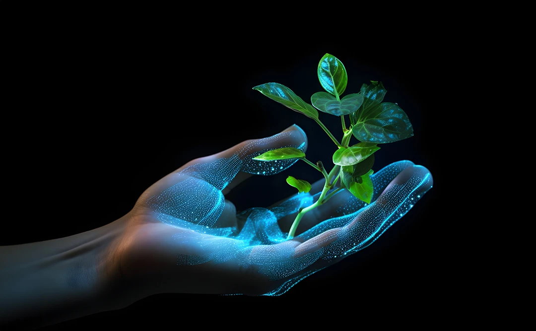 Selos de sustentabilidade na construção civil mundial: imagem de uma mão segurando uma muda de planta.
